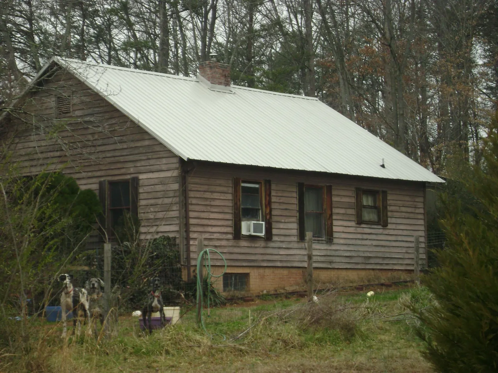 White metal roof on an old wood sided farmhouse, from a Asphalt Shingle Roof Repair job in Orchard